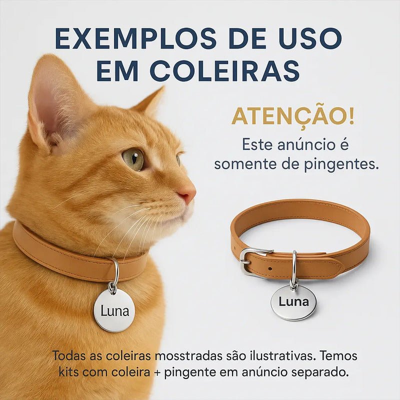 Plaquinha, Pingente, Plaqueta Identificação Cachorro E Gato